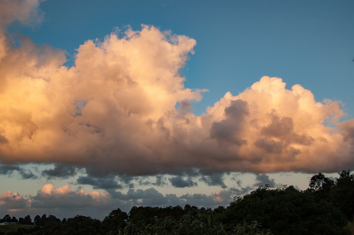 sunset sunset_pictures : McLeans Ridges, NSW   11 November 2008