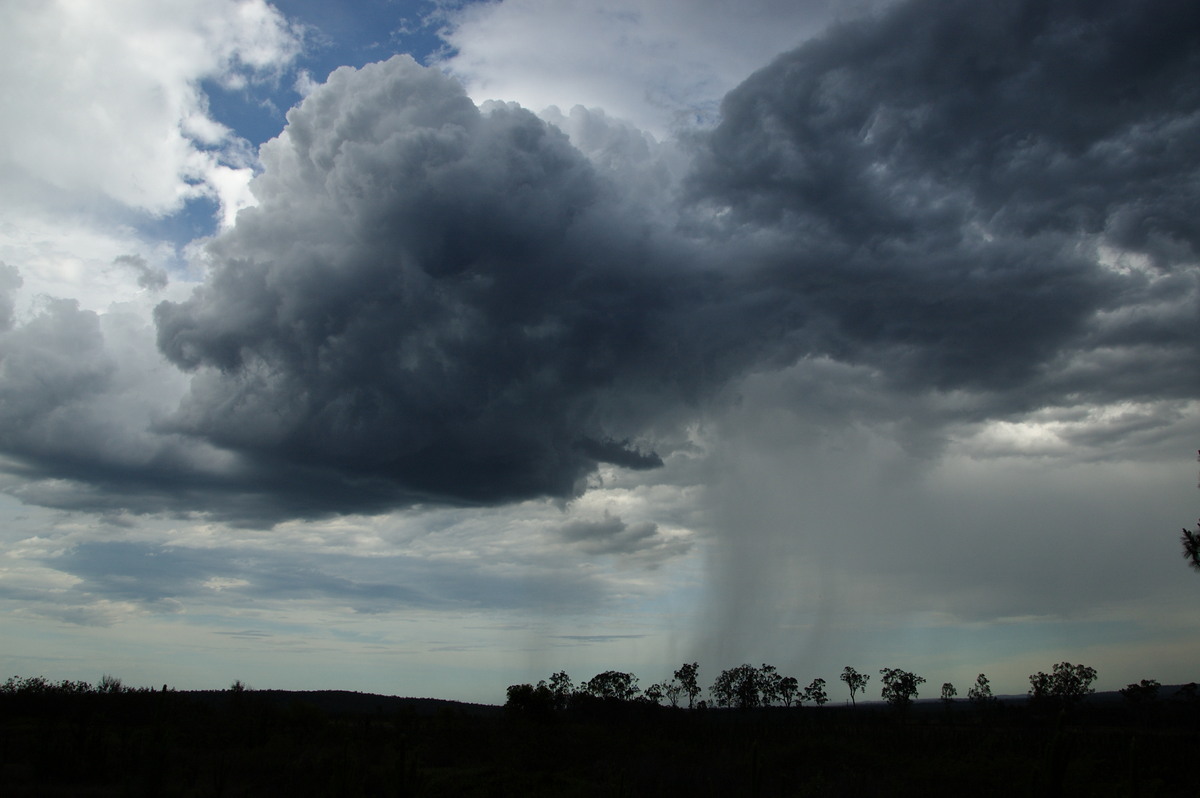 cumulus congestus : Whiporie, NSW   15 November 2008