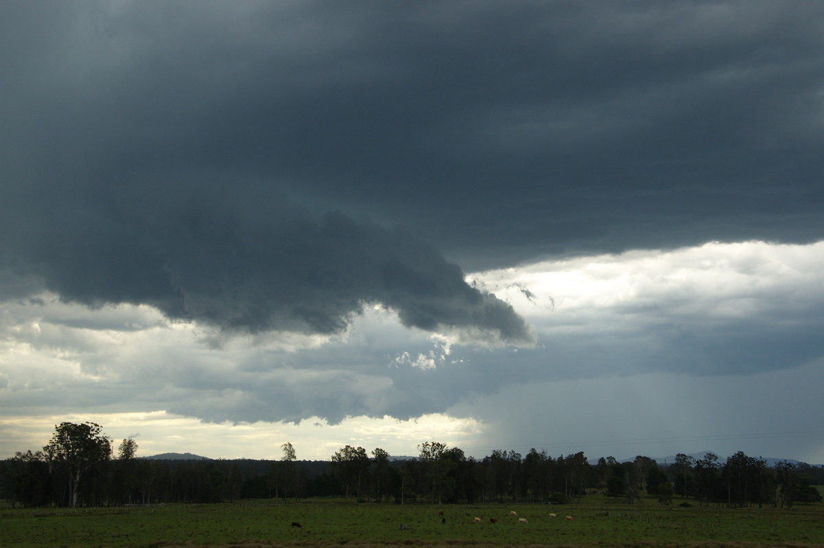 cumulonimbus thunderstorm_base : Whiporie, NSW   15 November 2008