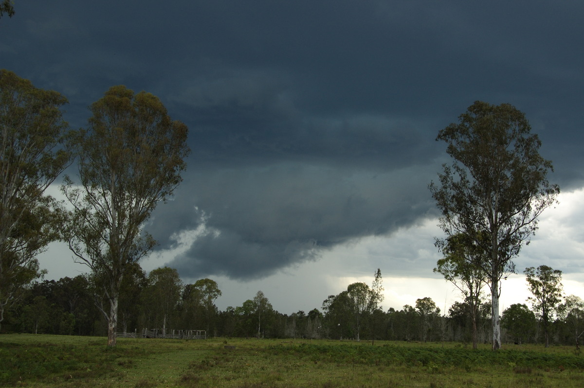 cumulonimbus thunderstorm_base : Myrtle Creek, NSW   15 November 2008