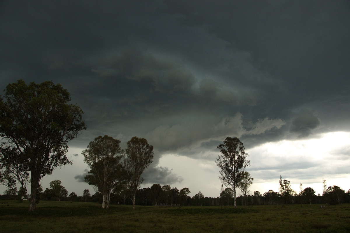 cumulonimbus thunderstorm_base : Myrtle Creek, NSW   15 November 2008