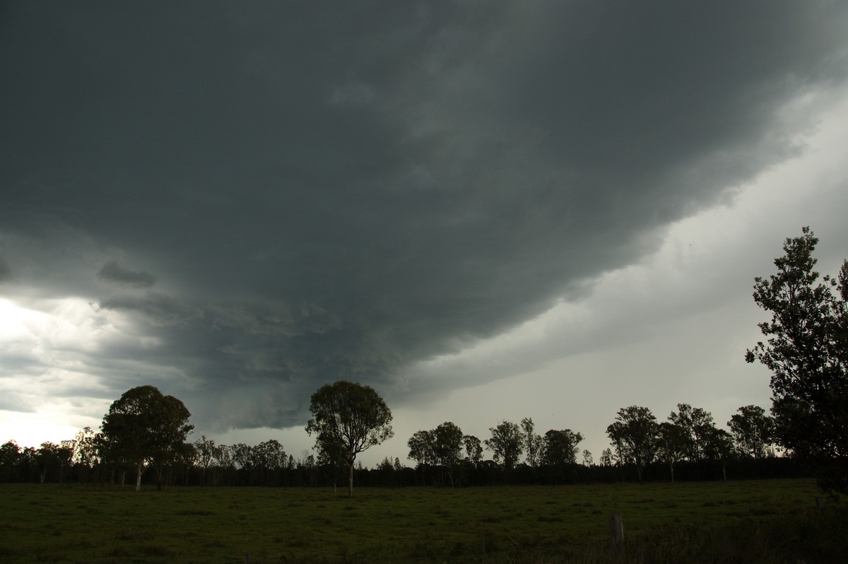 cumulonimbus thunderstorm_base : Myrtle Creek, NSW   15 November 2008