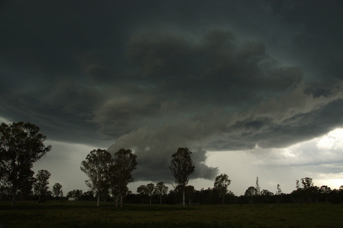 cumulonimbus thunderstorm_base : Myrtle Creek, NSW   15 November 2008