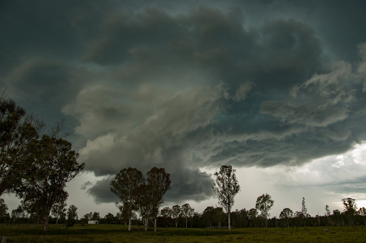 wallcloud thunderstorm_wall_cloud : Myrtle Creek, NSW   15 November 2008