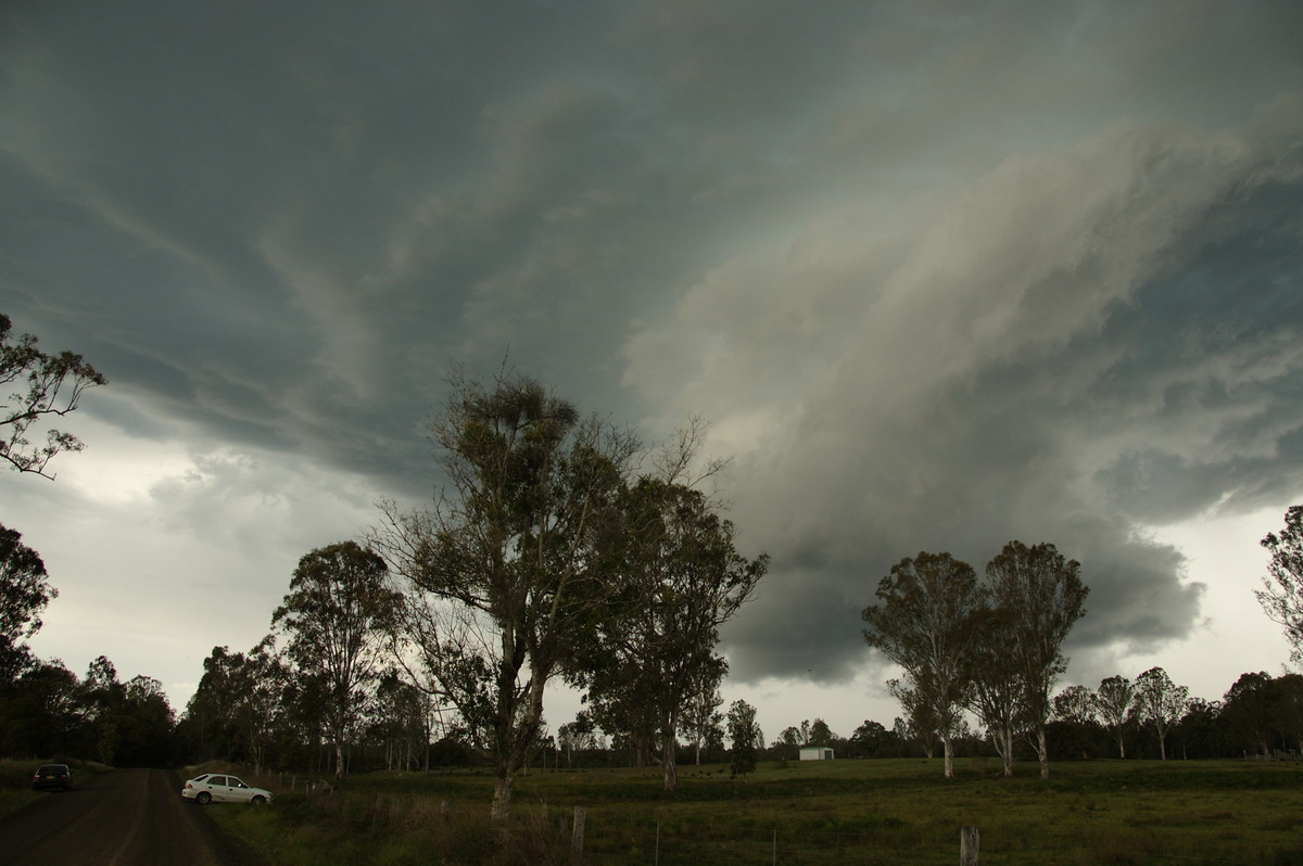 wallcloud thunderstorm_wall_cloud : Myrtle Creek, NSW   15 November 2008