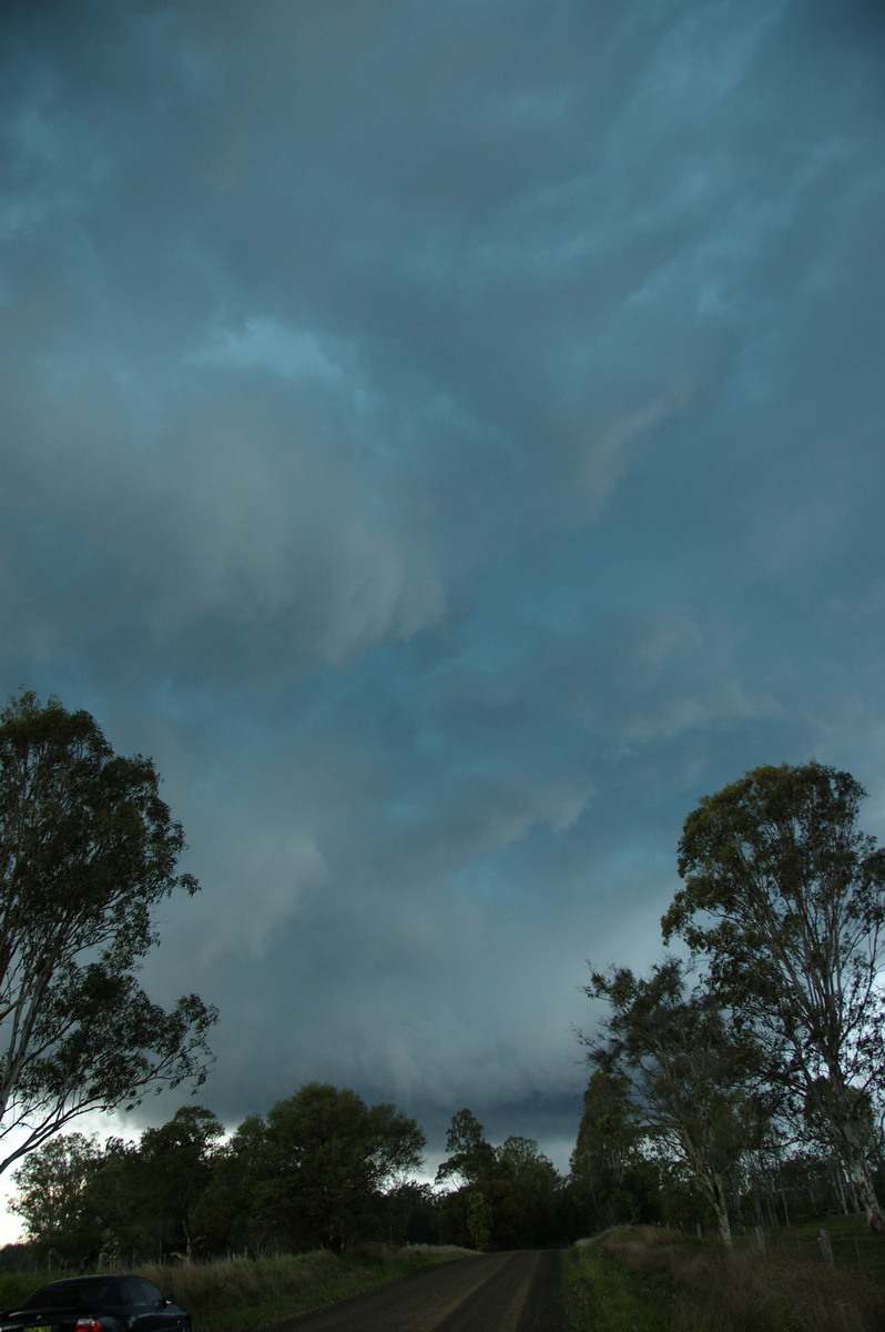 cumulonimbus thunderstorm_base : Myrtle Creek, NSW   15 November 2008