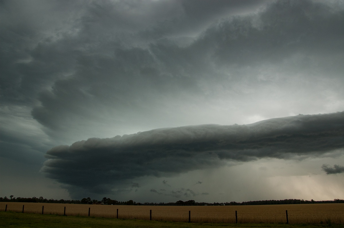 shelfcloud shelf_cloud : E of Casino, NSW   15 November 2008