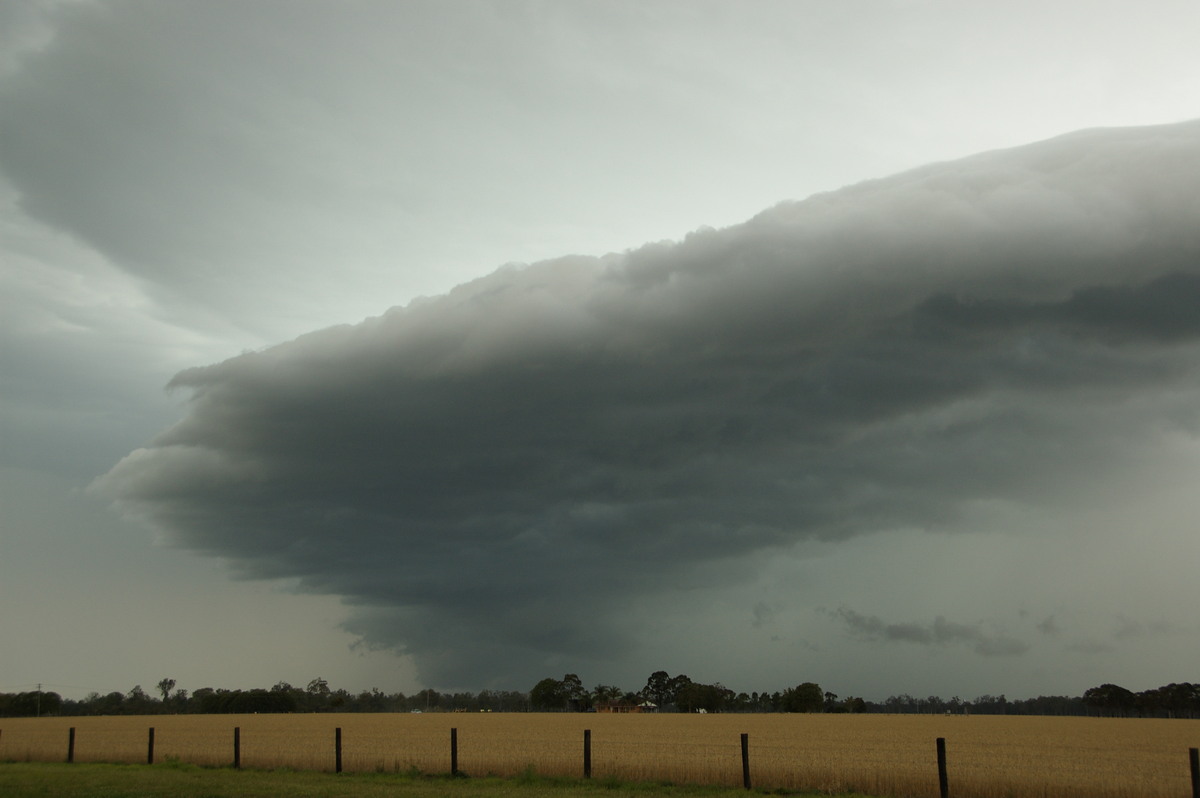 shelfcloud shelf_cloud : E of Casino, NSW   15 November 2008