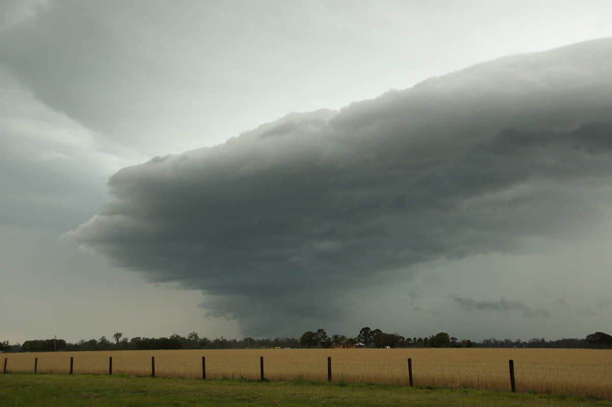 shelfcloud shelf_cloud : E of Casino, NSW   15 November 2008