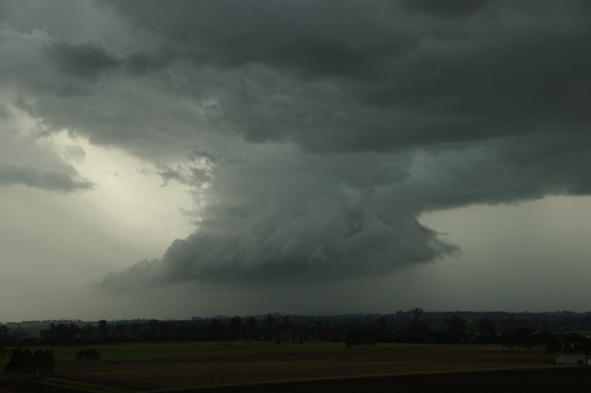 wallcloud thunderstorm_wall_cloud : N of Casino, NSW   15 November 2008