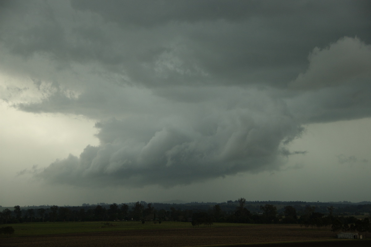 cumulonimbus thunderstorm_base : N of Casino, NSW   15 November 2008