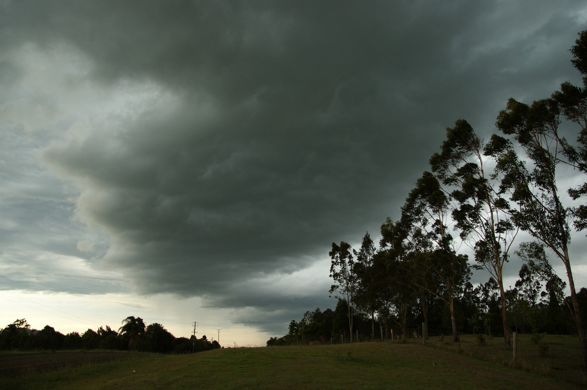 cumulonimbus thunderstorm_base : N of Casino, NSW   15 November 2008