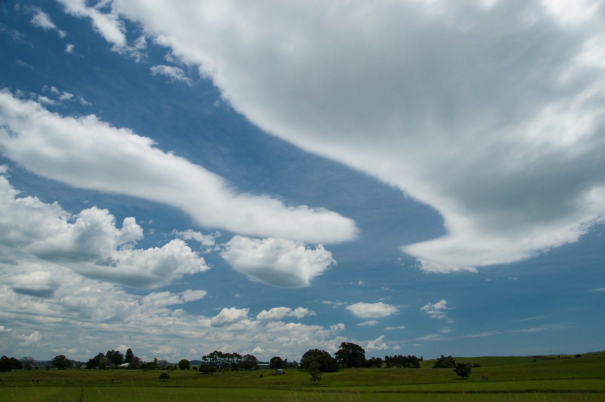 altocumulus lenticularis : Cedar Point, NSW   16 November 2008