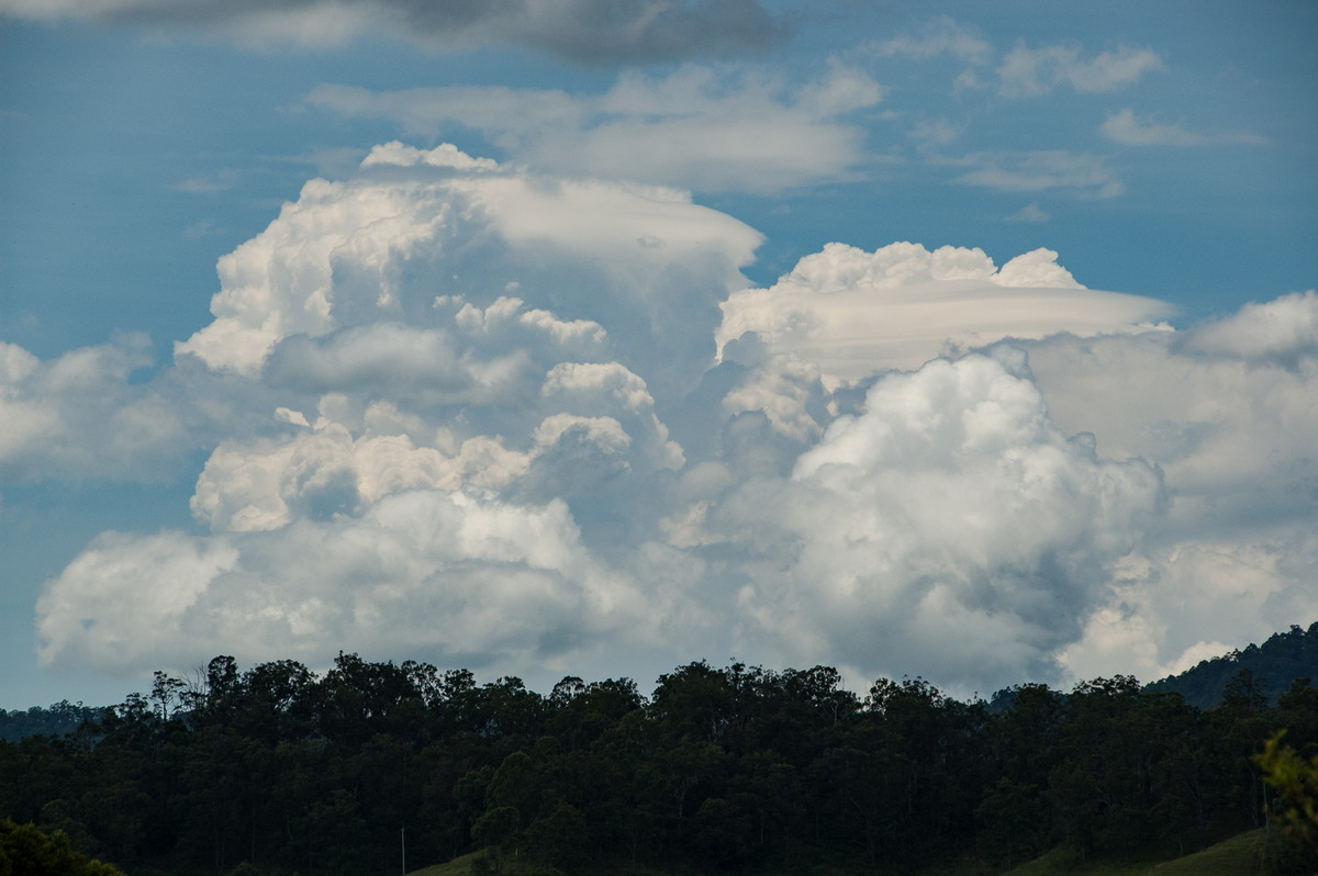 thunderstorm cumulonimbus_calvus : Cedar Point, NSW   16 November 2008