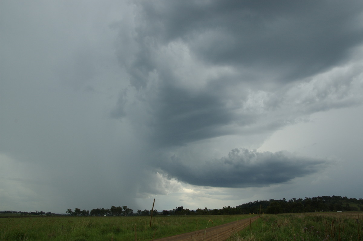 cumulonimbus thunderstorm_base : Cedar Point, NSW   16 November 2008