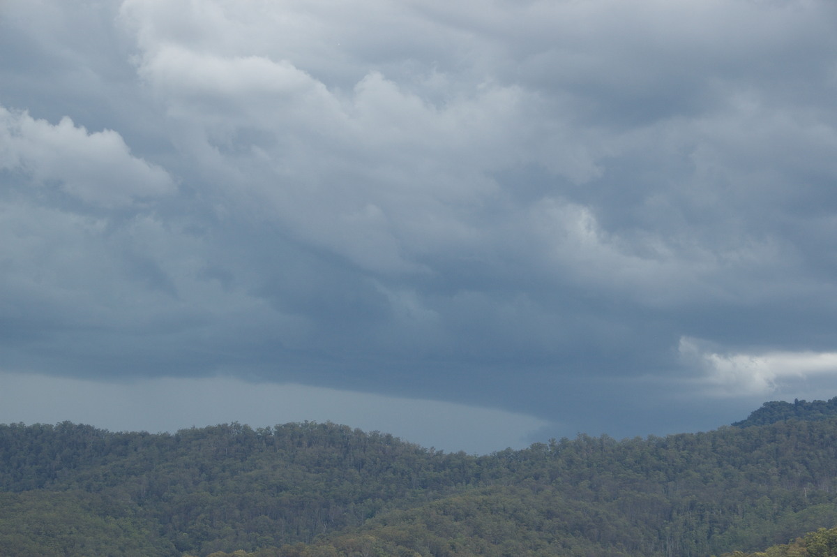 cumulonimbus thunderstorm_base : Cougal, NSW   16 November 2008