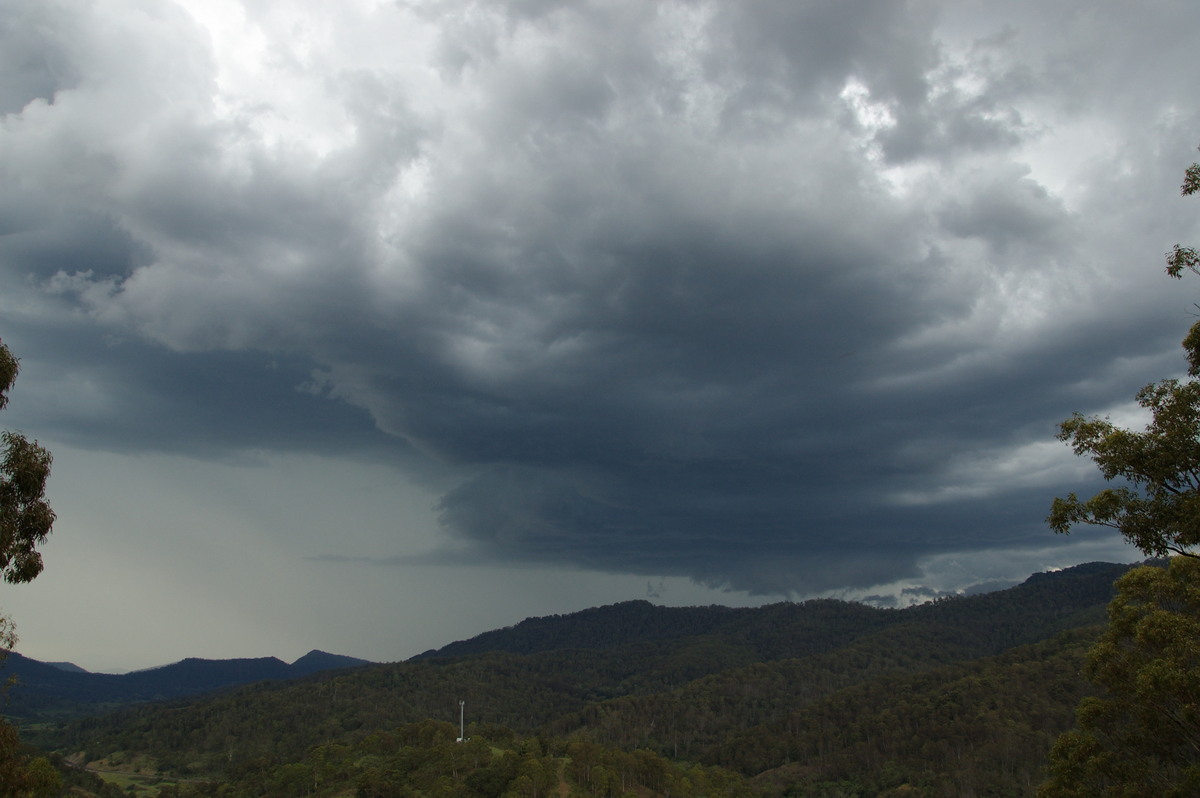 cumulonimbus thunderstorm_base : Cougal, NSW   16 November 2008