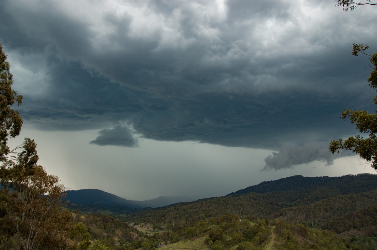 cumulonimbus thunderstorm_base : Cougal, NSW   16 November 2008