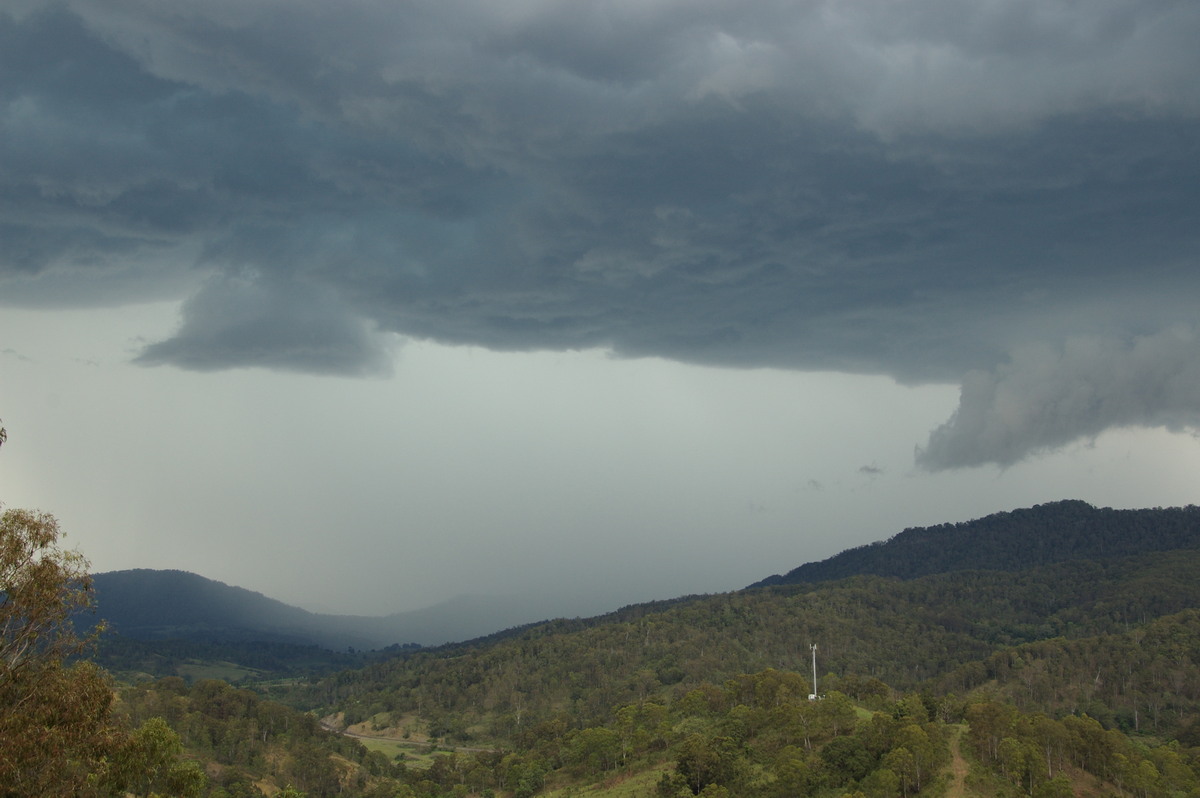 wallcloud thunderstorm_wall_cloud : Cougal, NSW   16 November 2008