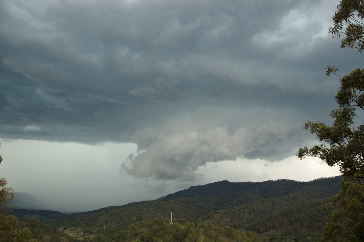 wallcloud thunderstorm_wall_cloud : Cougal, NSW   16 November 2008