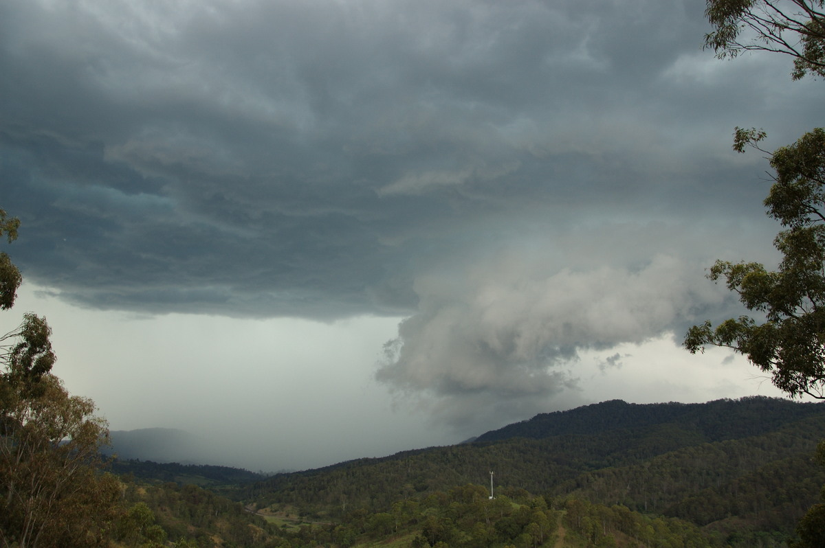 wallcloud thunderstorm_wall_cloud : Cougal, NSW   16 November 2008