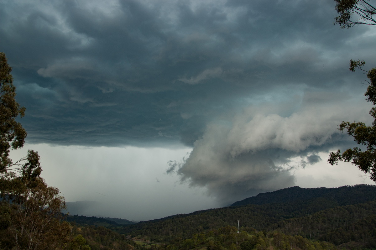 wallcloud thunderstorm_wall_cloud : Cougal, NSW   16 November 2008