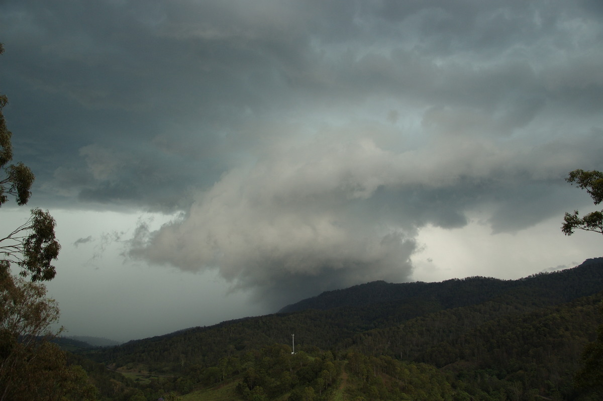 wallcloud thunderstorm_wall_cloud : Cougal, NSW   16 November 2008