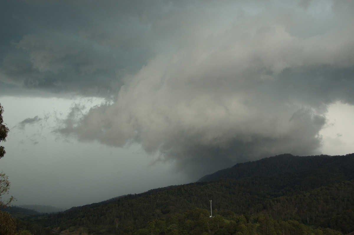 wallcloud thunderstorm_wall_cloud : Cougal, NSW   16 November 2008