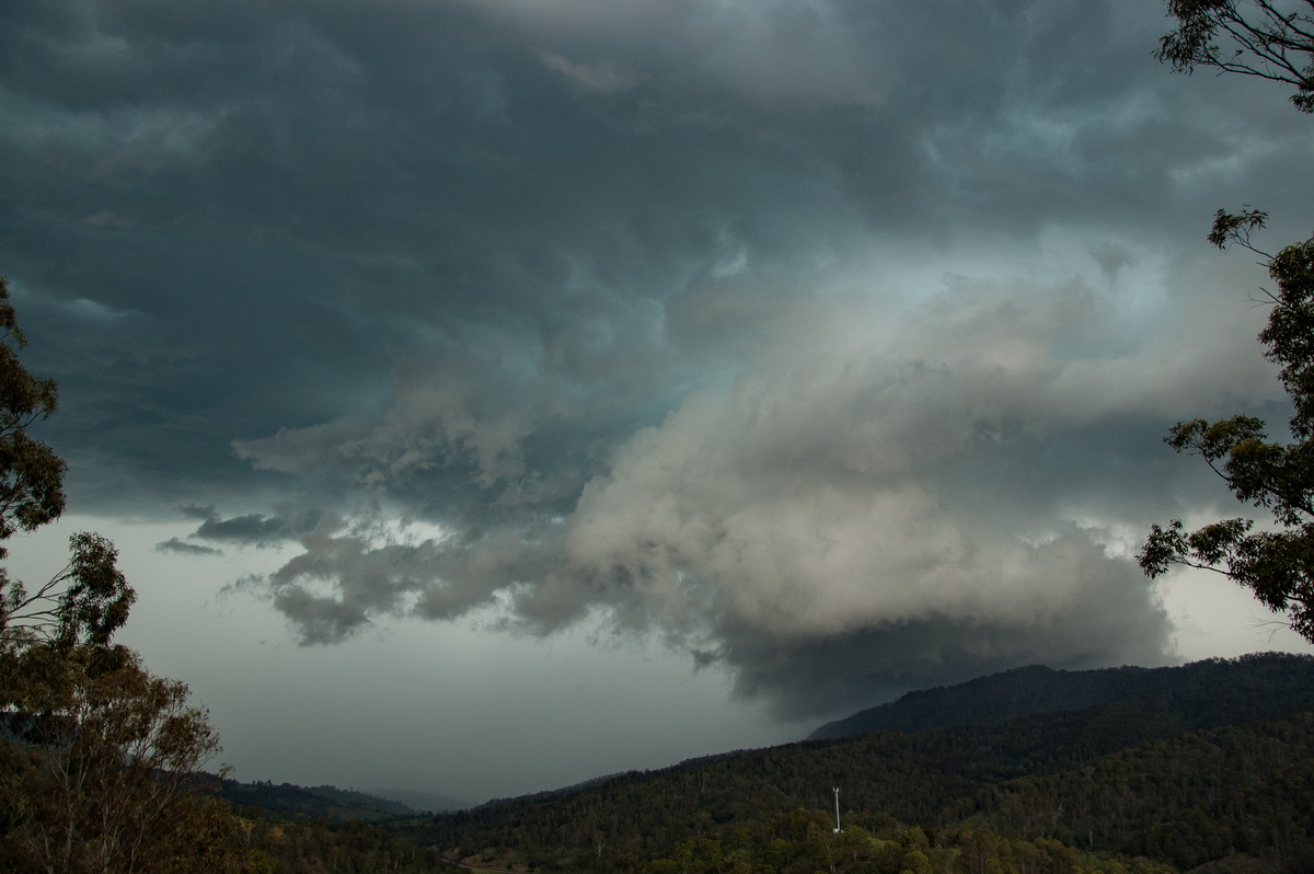 wallcloud thunderstorm_wall_cloud : Cougal, NSW   16 November 2008