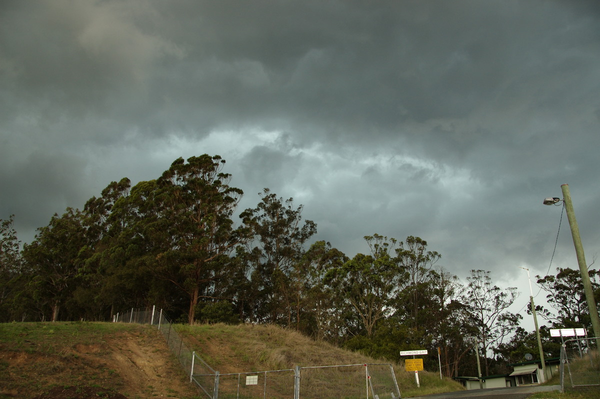 cumulonimbus thunderstorm_base : Border Ranges, NSW   16 November 2008