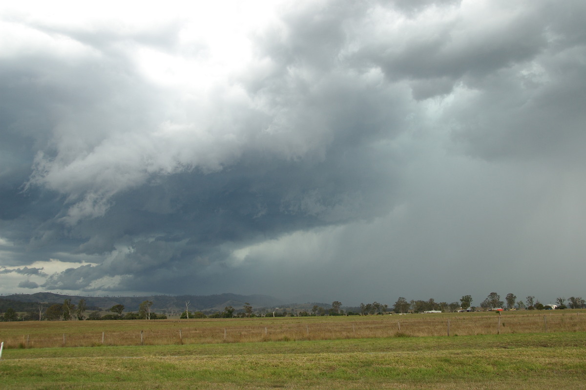 raincascade precipitation_cascade : Laravale, QLD   16 November 2008