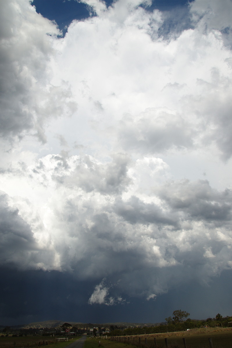 updraft thunderstorm_updrafts : Beaudesert, QLD   16 November 2008