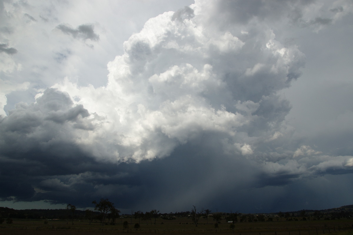 cumulus congestus : Beaudesert, QLD   16 November 2008