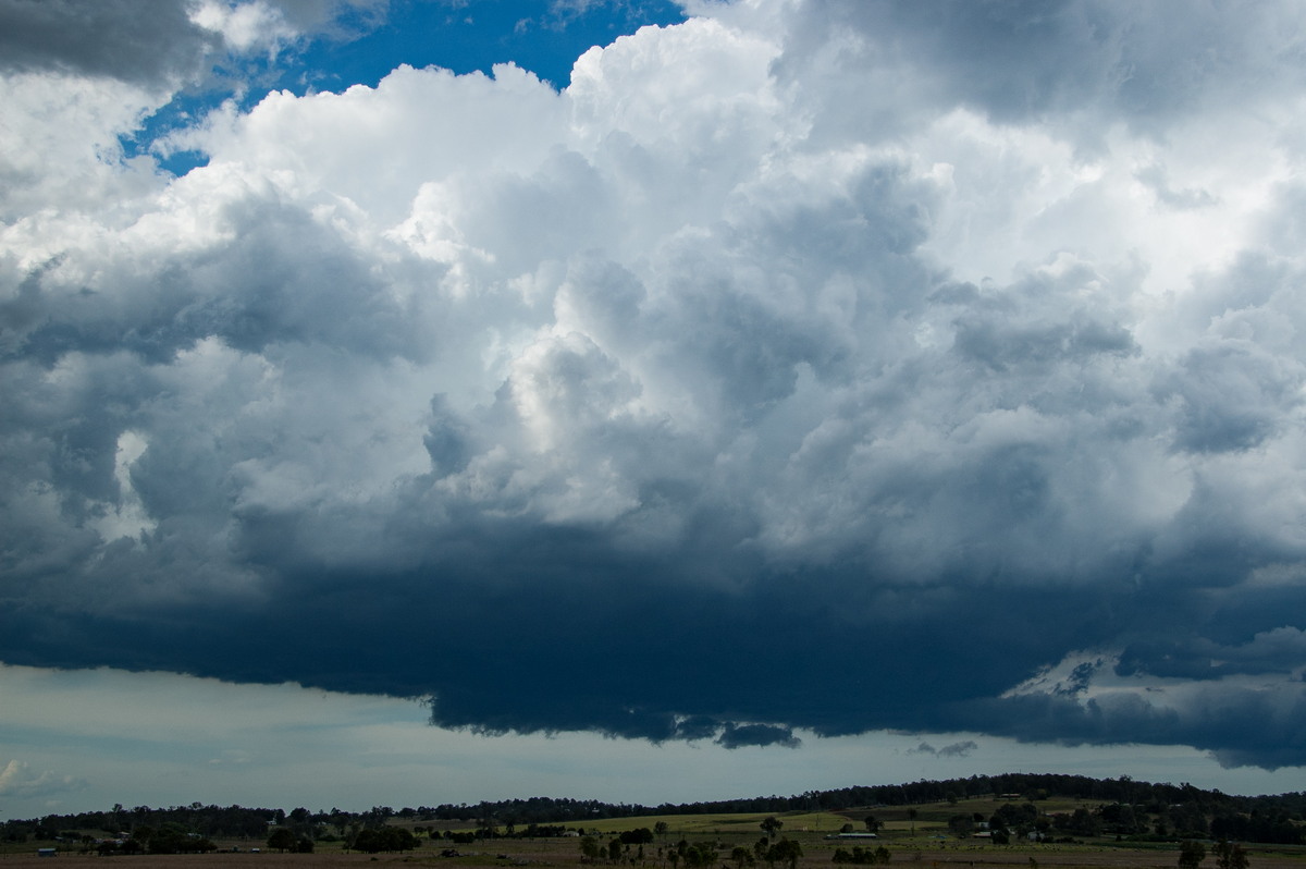 cumulus congestus : Beaudesert, QLD   16 November 2008