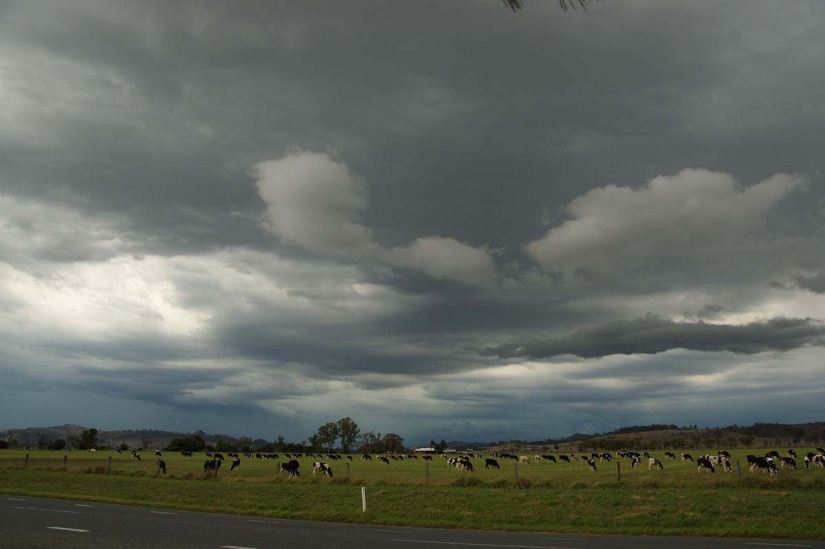 cumulonimbus thunderstorm_base : Beaudesert, QLD   16 November 2008