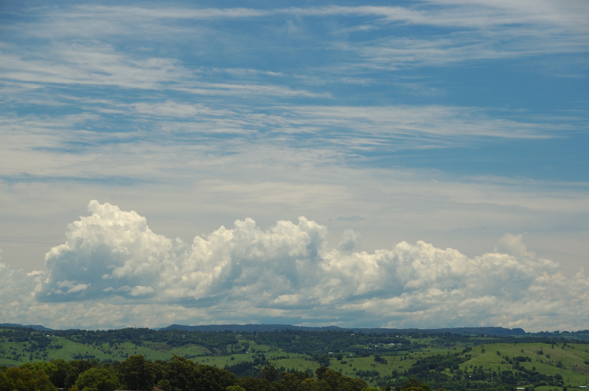 cumulus mediocris : McLeans Ridges, NSW   20 November 2008