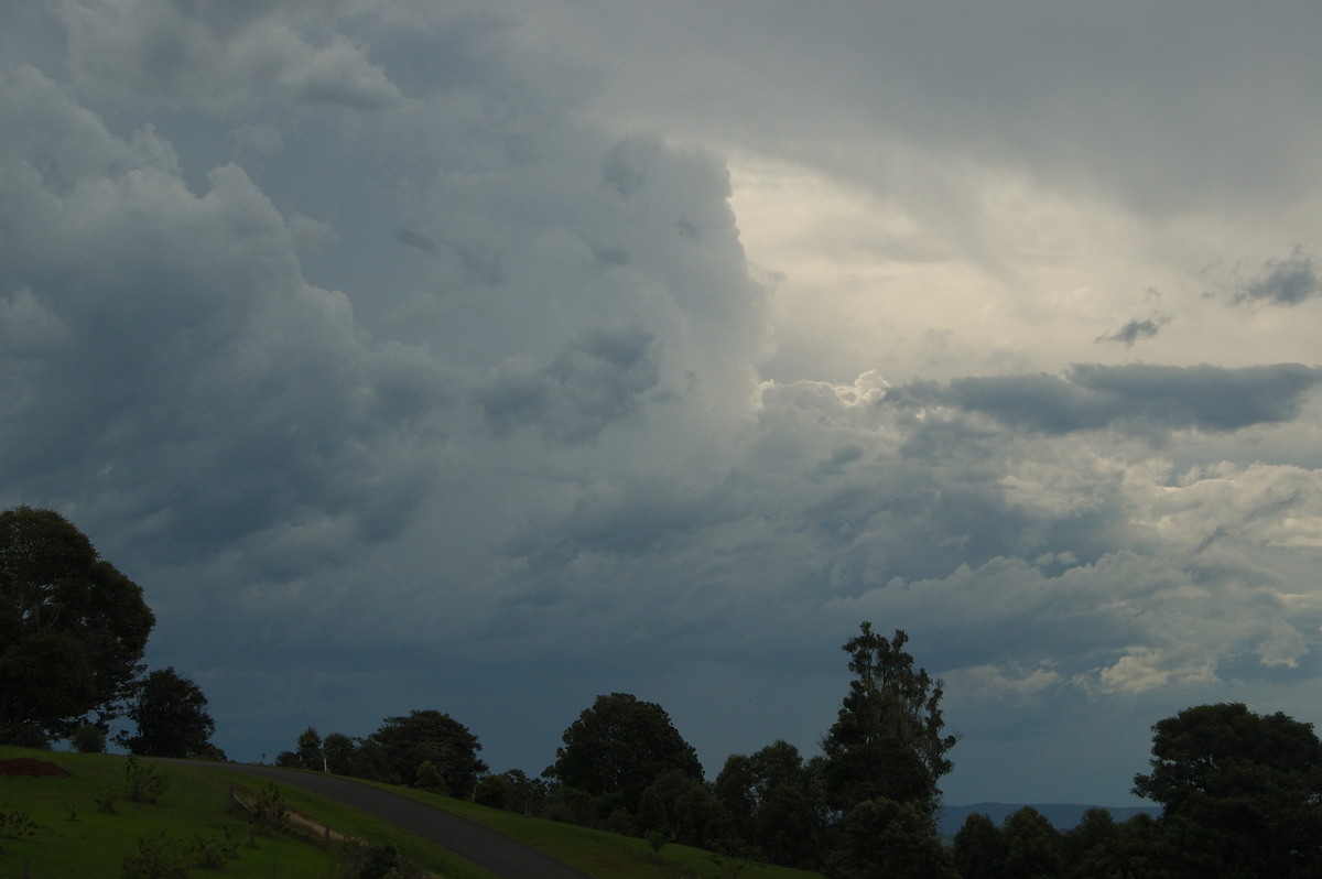 cumulonimbus thunderstorm_base : McLeans Ridges, NSW   20 November 2008