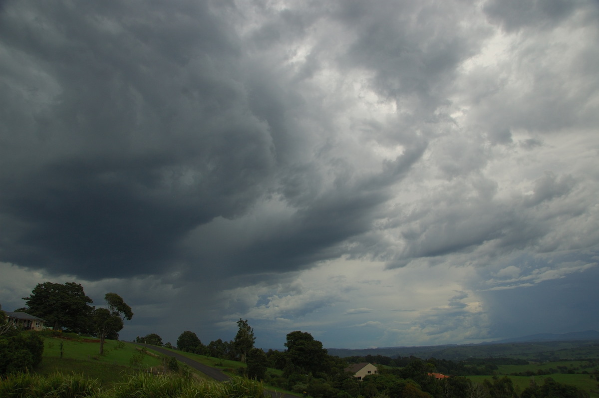 cumulonimbus thunderstorm_base : McLeans Ridges, NSW   20 November 2008