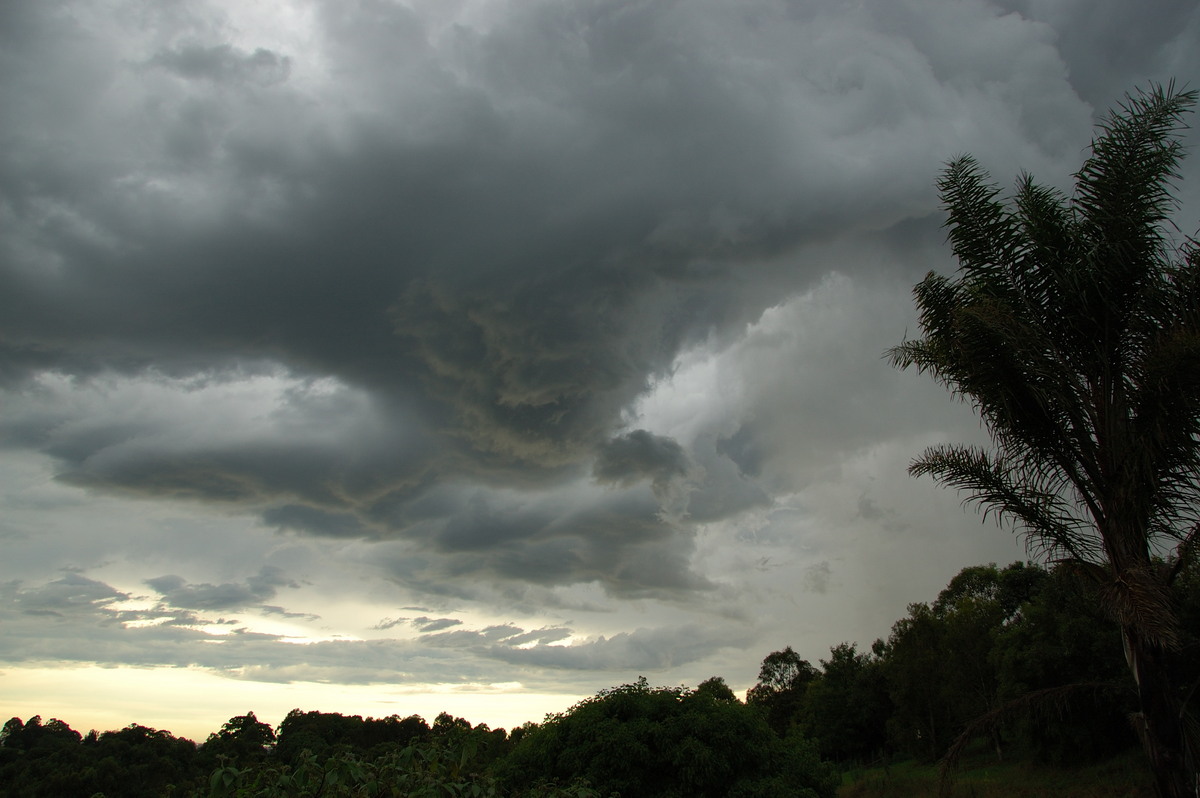 cumulonimbus thunderstorm_base : McLeans Ridges, NSW   20 November 2008