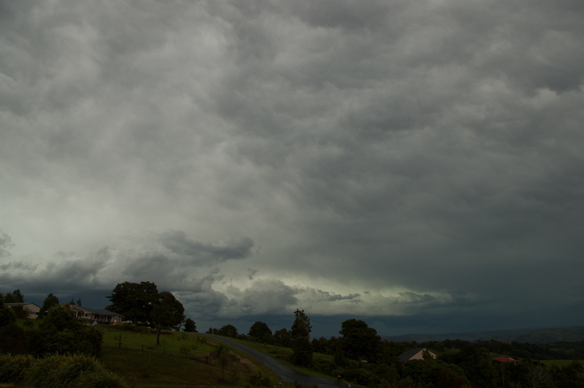 cumulonimbus thunderstorm_base : McLeans Ridges, NSW   20 November 2008