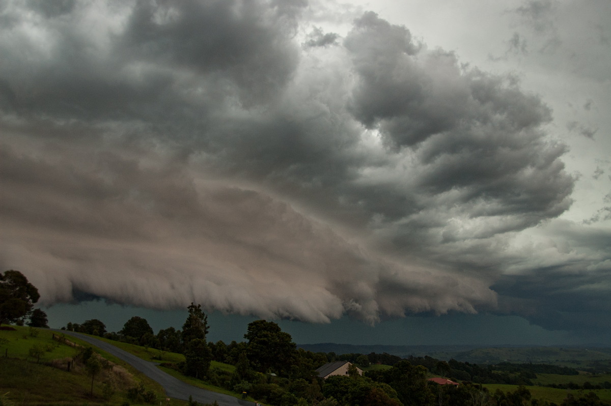 shelfcloud shelf_cloud : McLeans Ridges, NSW   20 November 2008