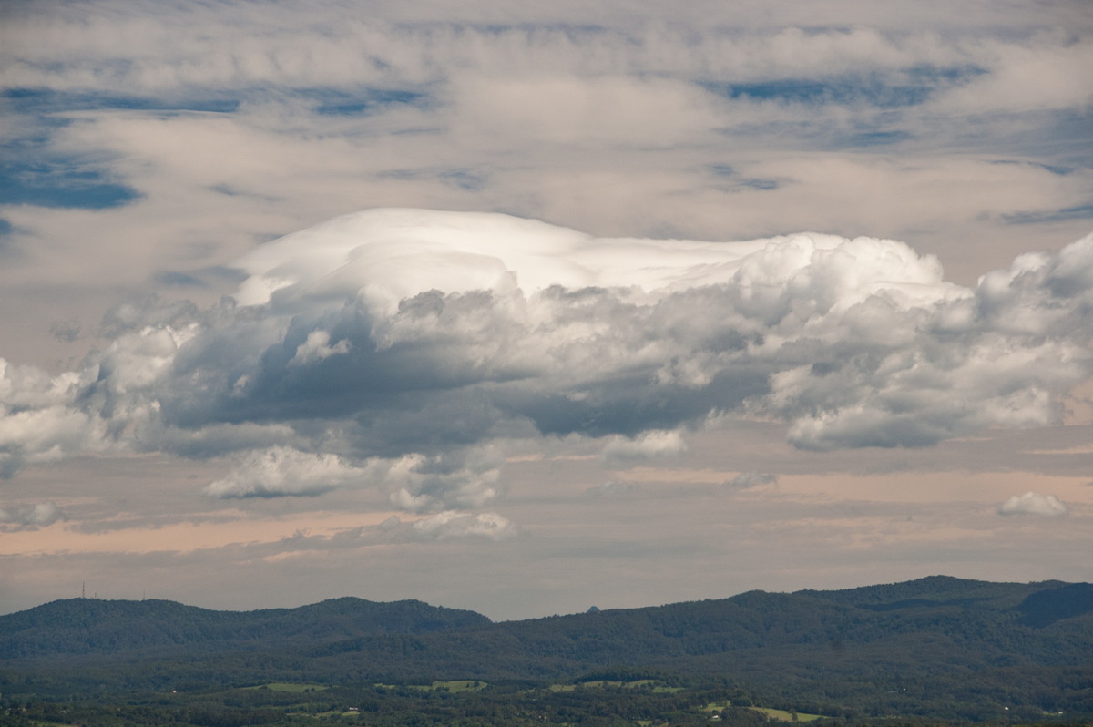 cirrus cirrus_cloud : McLeans Ridges, NSW   22 November 2008