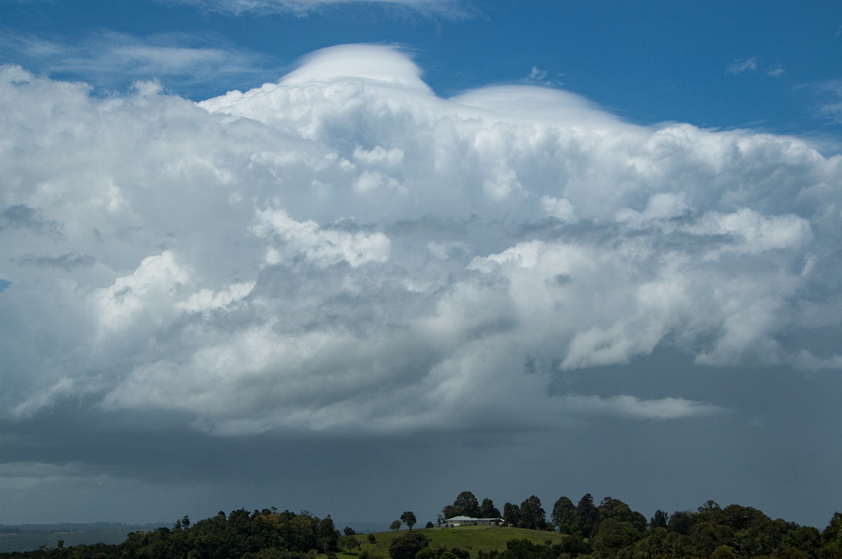 pileus pileus_cap_cloud : McLeans Ridges, NSW   25 November 2008