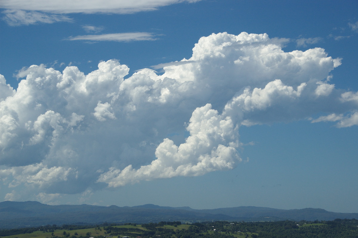 cumulus congestus : McLeans Ridges, NSW   2 December 2008