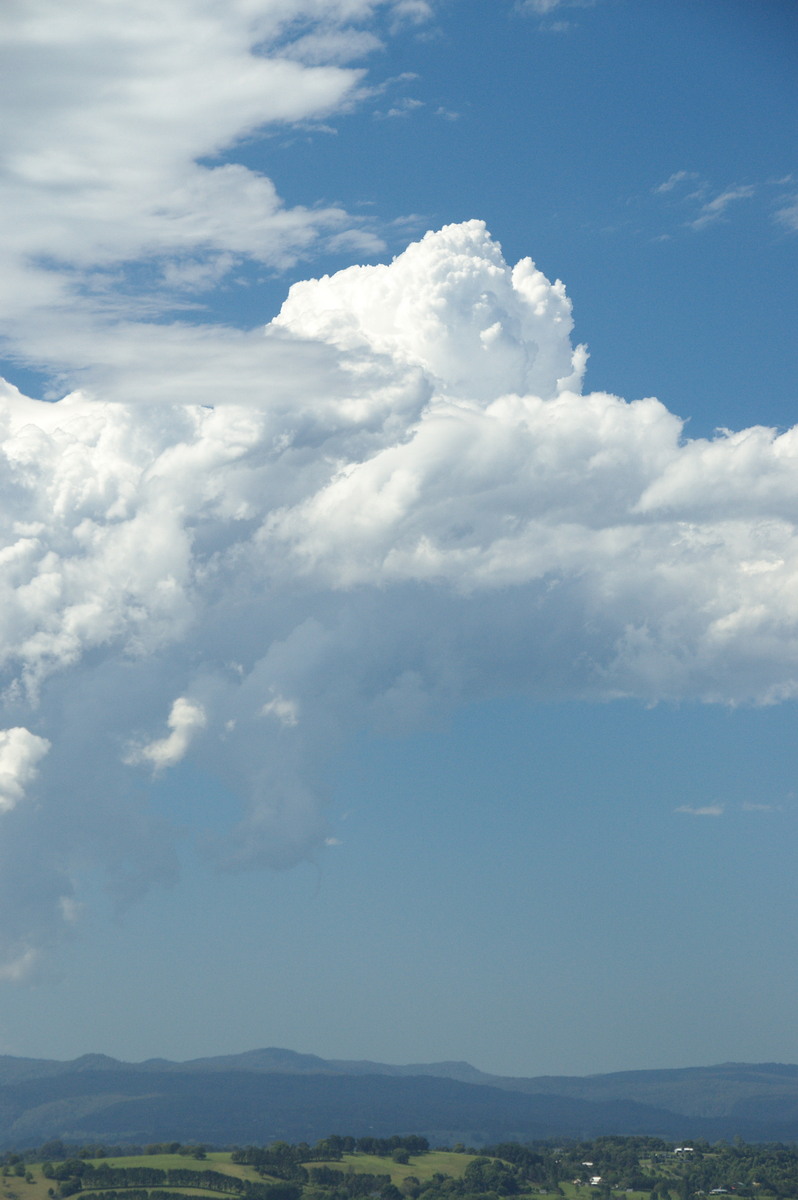 cumulus congestus : McLeans Ridges, NSW   2 December 2008