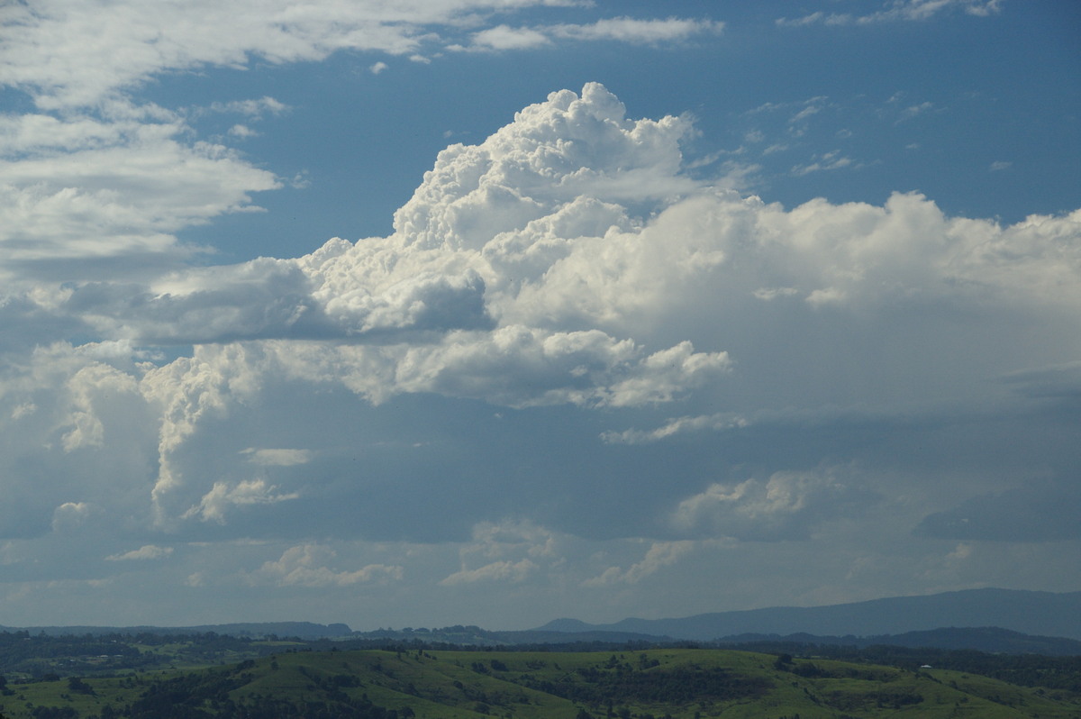 cumulus congestus : McLeans Ridges, NSW   2 December 2008