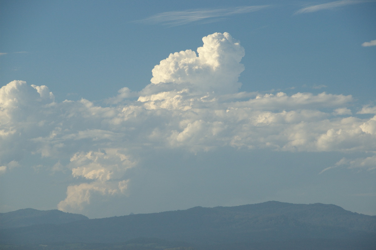 cumulus congestus : McLeans Ridges, NSW   2 December 2008