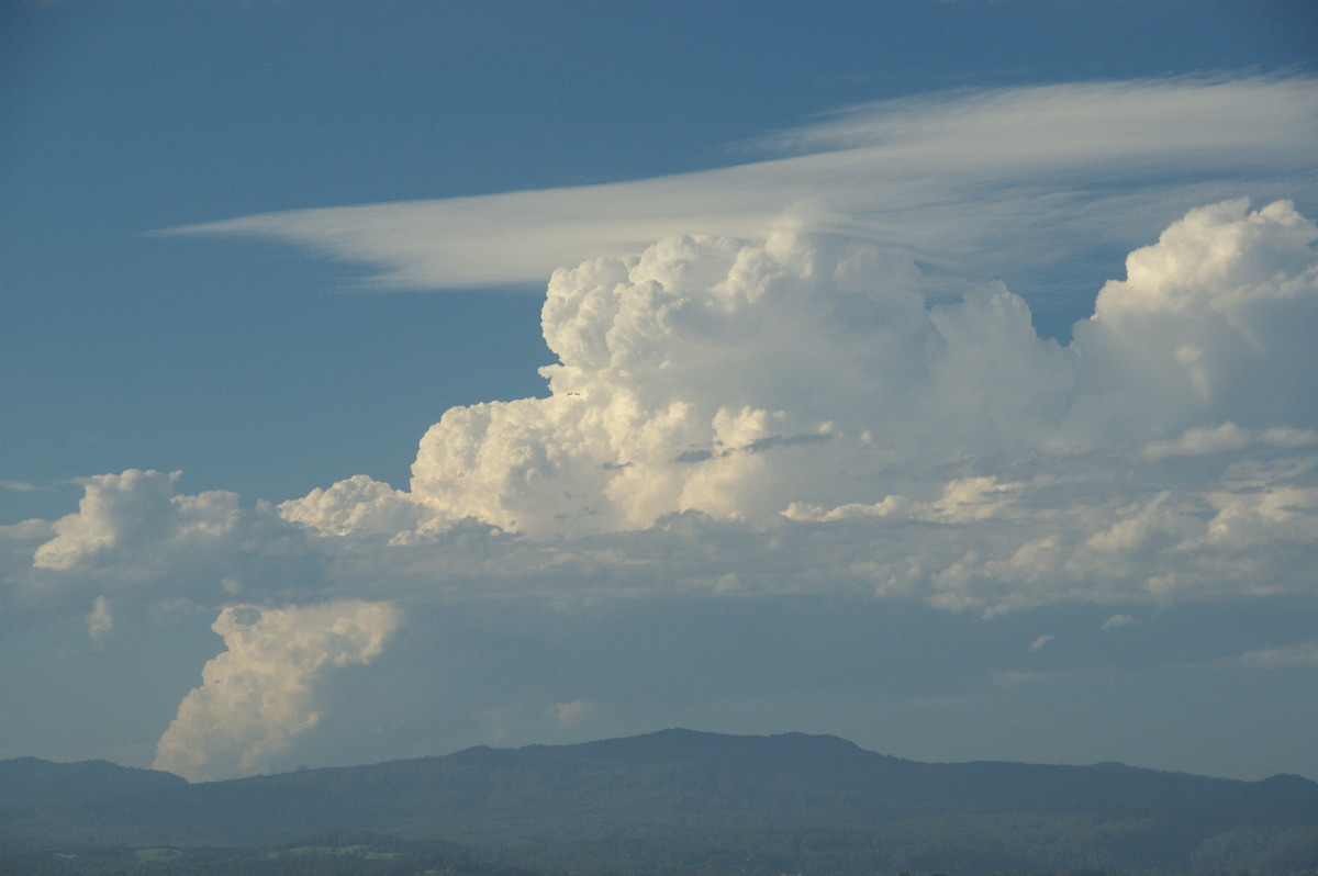 pileus pileus_cap_cloud : McLeans Ridges, NSW   2 December 2008