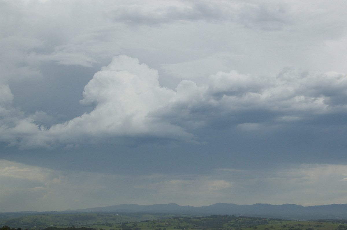 cumulonimbus thunderstorm_base : McLeans Ridges, NSW   3 December 2008