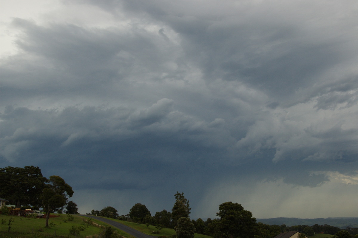 cumulonimbus thunderstorm_base : McLeans Ridges, NSW   3 December 2008
